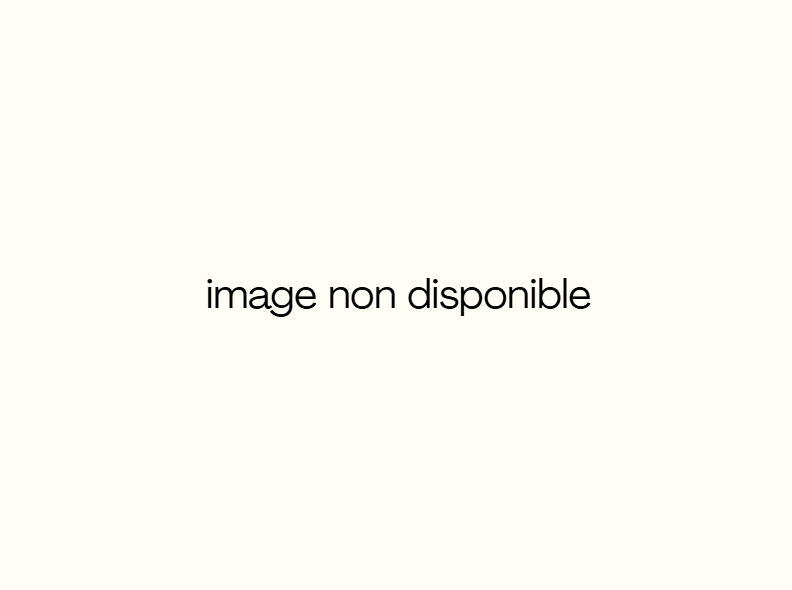 image-non-disponible